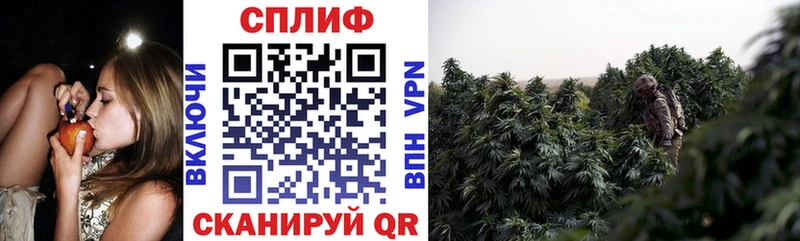 наркошоп блэк спрут ссылки Канабис план Саров